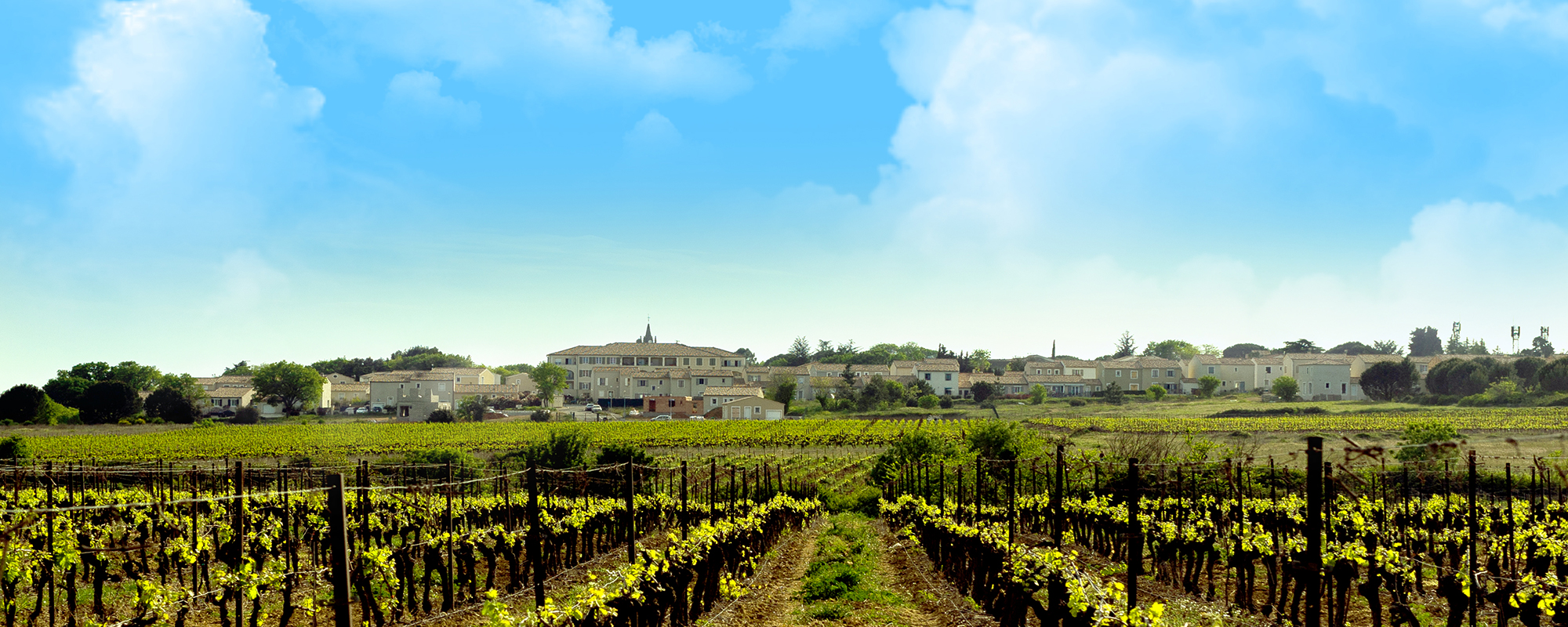 Conseils nature Montpezat Gard Montpezat Gard